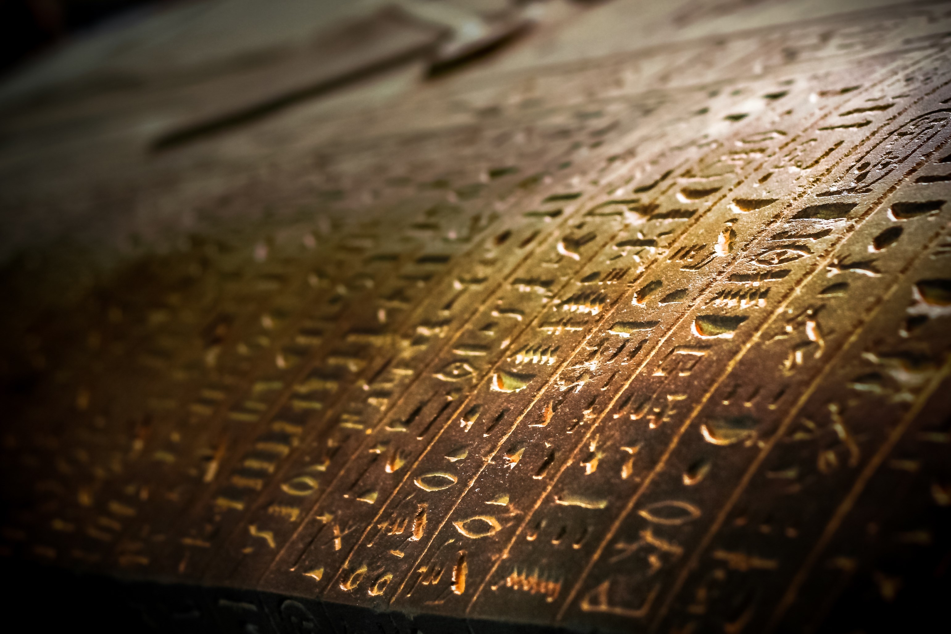 Egypt language symbols written or carved on mummy coffin or Sarcophagus kept at museum